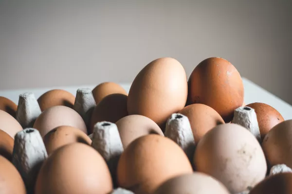 В Брянской области с помощью системы «Меркурий» выявлена и пресечена попытка введения в оборот более 27 тысяч штук куриных яиц неизвестного происхождения