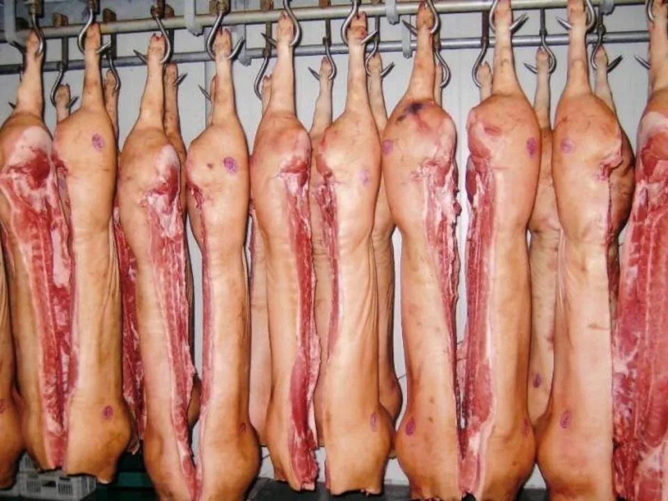 фотография продукта Мясо свинины  от производителя
