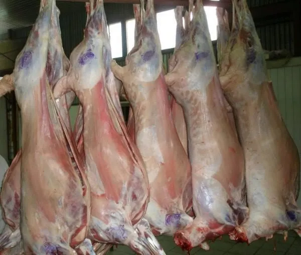 фотография продукта Мясо птицы, свинины, баранины, говядины.