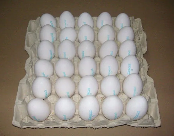 фотография продукта Купим яйцо куриное, белое.