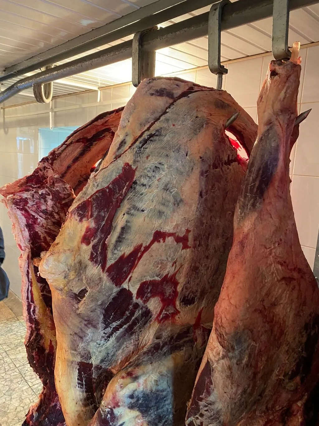 Фотография продукта  Мясо говядина пром забой,коровы -275ркг