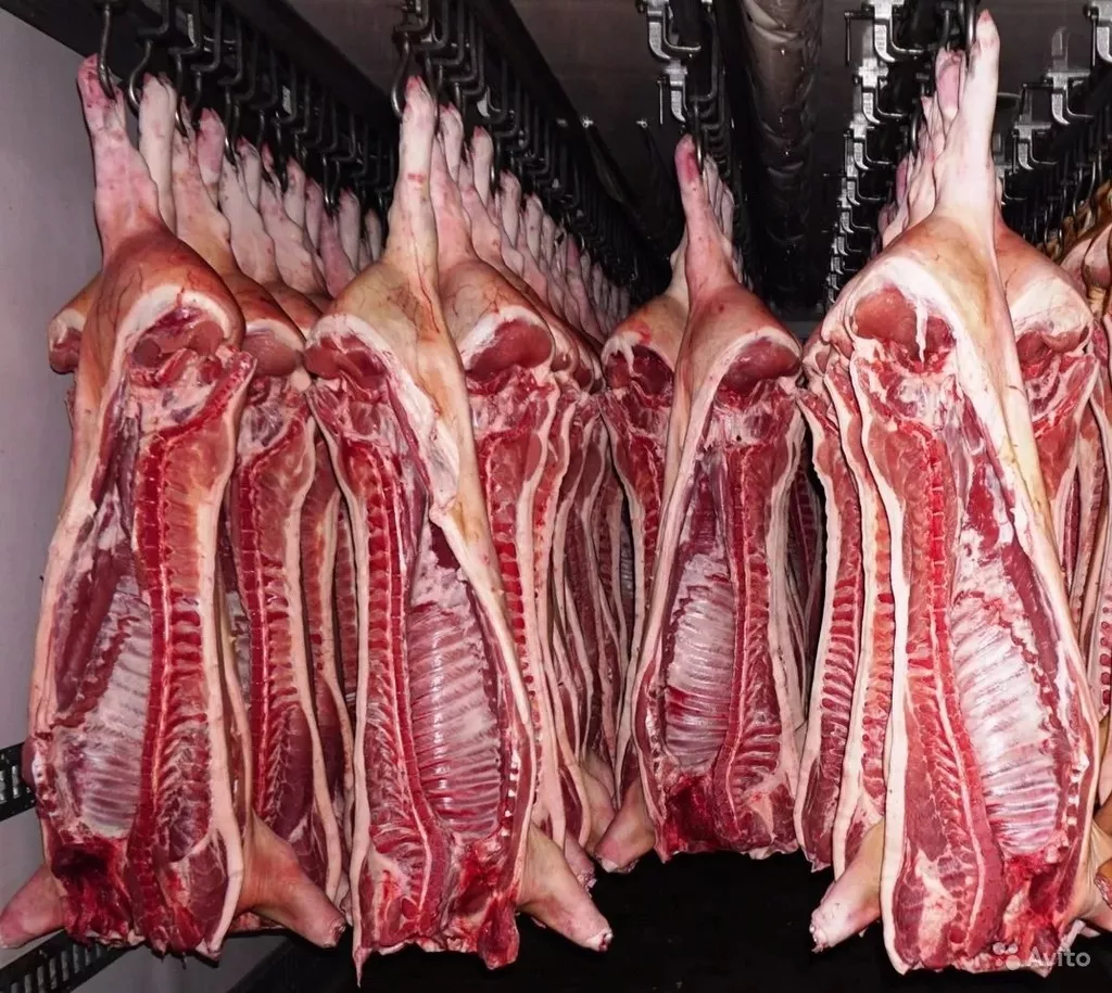 мясо свинины в полутушах в брянске в Брянске