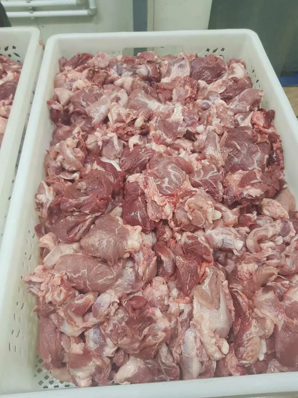 Фотография продукта Мясо голов свиных